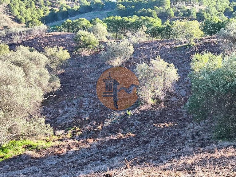 Plot for Sale in Azinhal, Castro Marim, Portugal 20
