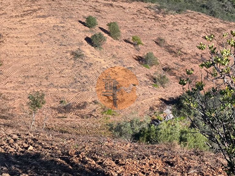 Plot for Sale in Azinhal, Castro Marim, Portugal 21