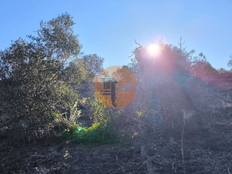 Plot for Sale in Azinhal, Castro Marim, Portugal 27