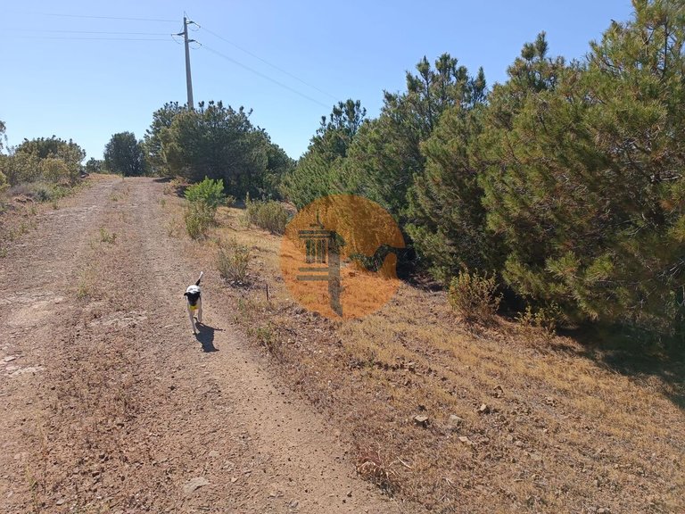 Plot for Sale in Azinhal, Castro Marim, Portugal 3
