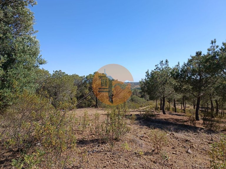 Plot for Sale in Azinhal, Castro Marim, Portugal 8