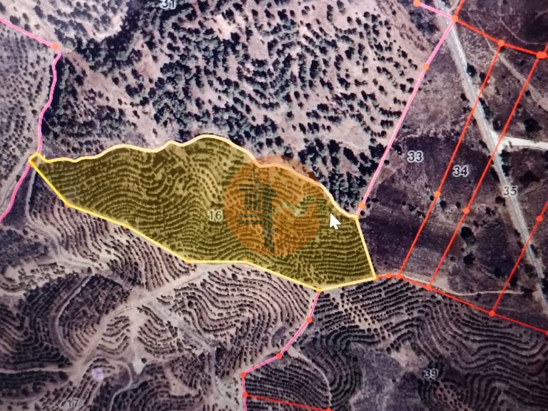 Plot for Sale in Azinhal, Castro Marim, Portugal 10