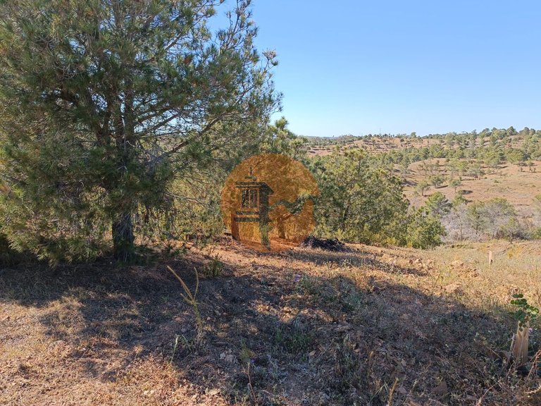 Plot for Sale in Azinhal, Castro Marim, Portugal 11