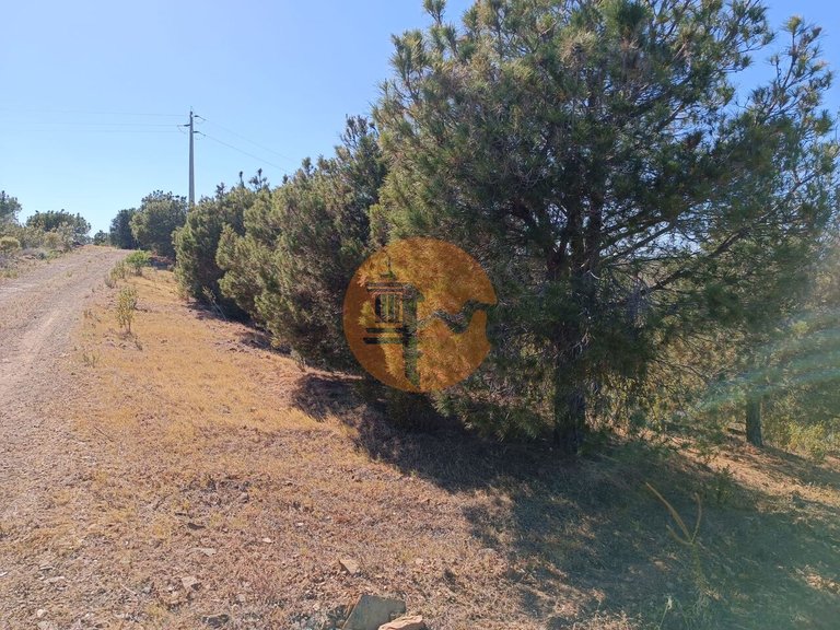 Plot for Sale in Azinhal, Castro Marim, Portugal 13