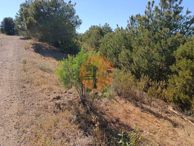 Plot for Sale in Azinhal, Castro Marim, Portugal 14