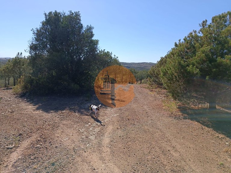Plot for Sale in Azinhal, Castro Marim, Portugal 15