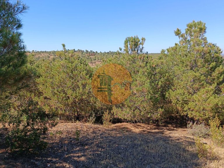 Plot for Sale in Azinhal, Castro Marim, Portugal 17