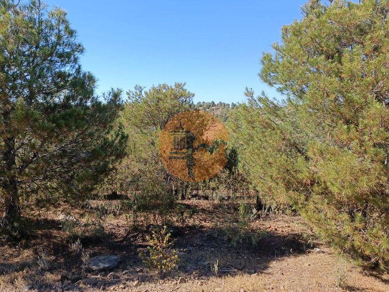 Plot for Sale in Azinhal, Castro Marim, Portugal 18