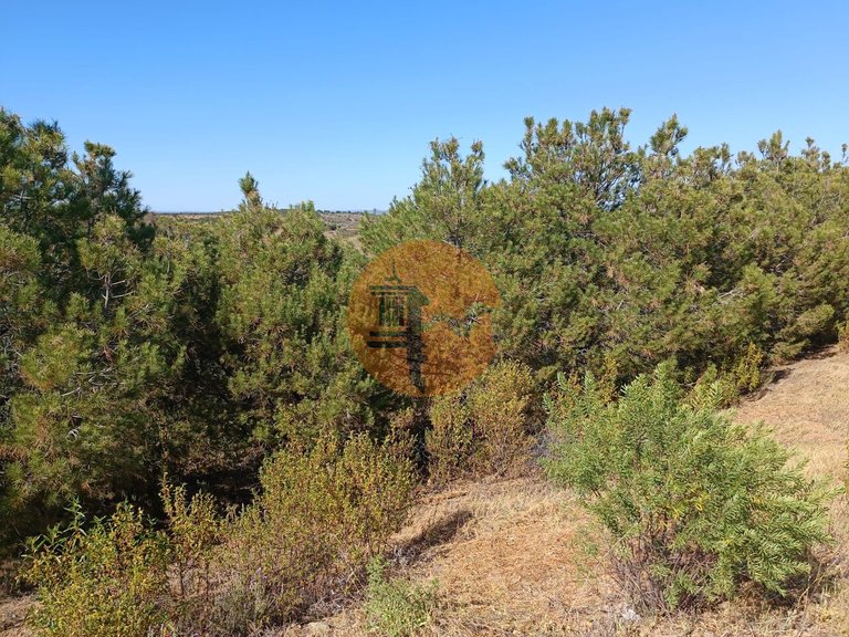 Plot for Sale in Azinhal, Castro Marim, Portugal 19