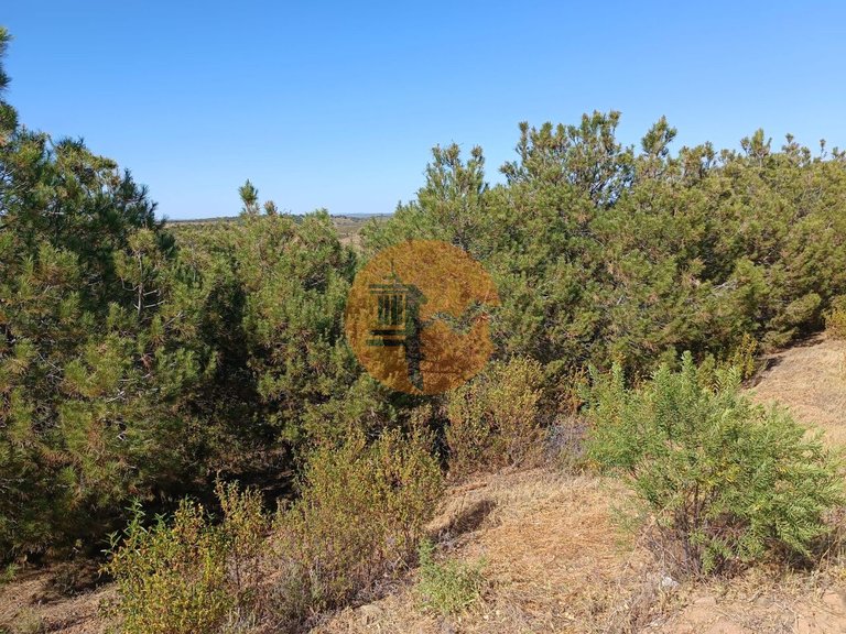 Plot for Sale in Azinhal, Castro Marim, Portugal 22