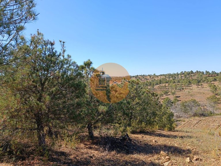 Plot for Sale in Azinhal, Castro Marim, Portugal 23