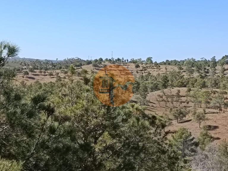 Plot for Sale in Azinhal, Castro Marim, Portugal 24