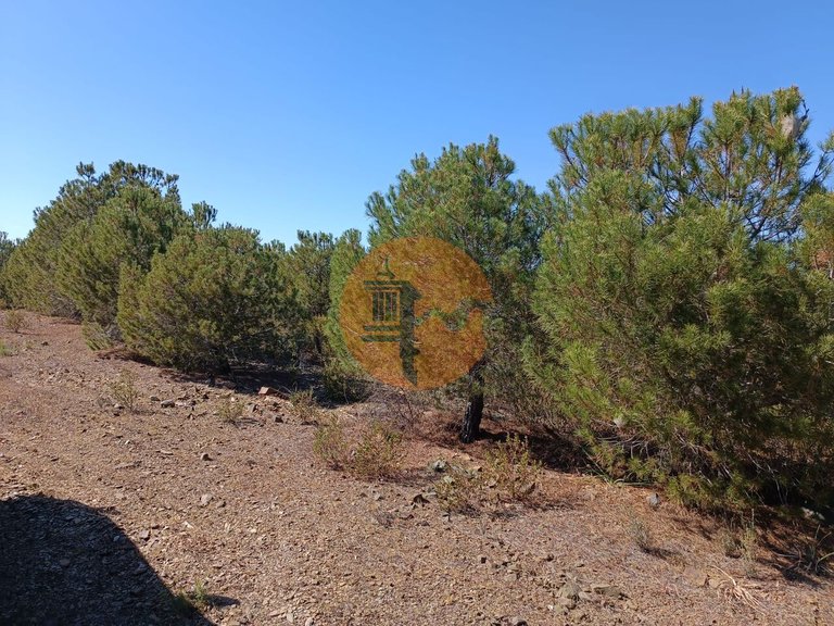 Plot for Sale in Azinhal, Castro Marim, Portugal 26