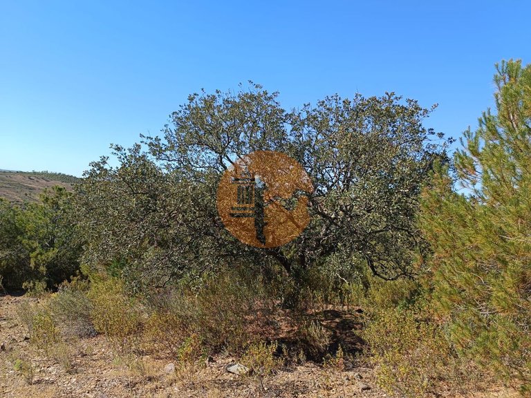 Plot for Sale in Azinhal, Castro Marim, Portugal 27