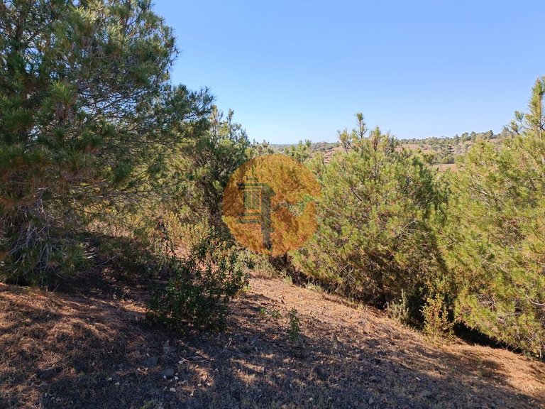 Plot for Sale in Azinhal, Castro Marim, Portugal 29