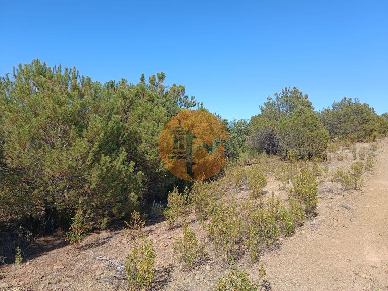 Plot for Sale in Azinhal, Castro Marim, Portugal 30