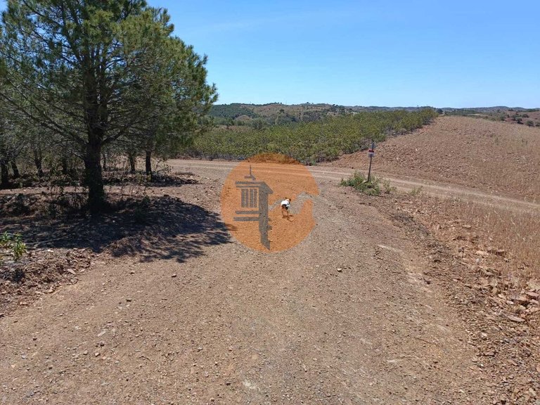 Plot for Sale in Azinhal, Castro Marim, Portugal 8