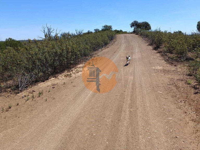 Plot for Sale in Azinhal, Castro Marim, Portugal 14
