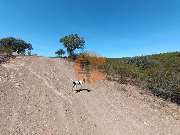 Plot for Sale in Azinhal, Castro Marim, Portugal 20