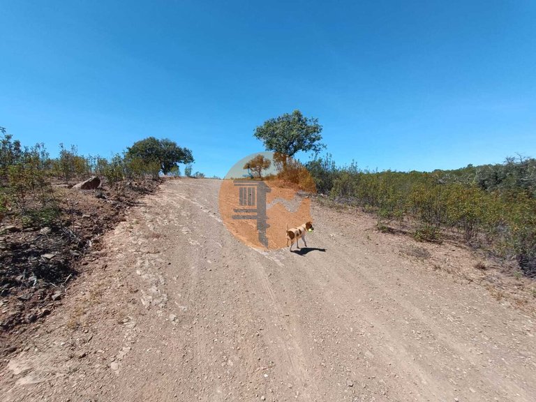 Plot for Sale in Azinhal, Castro Marim, Portugal 21