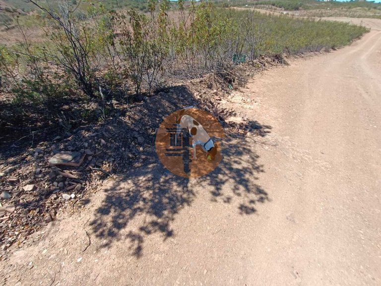 Plot for Sale in Azinhal, Castro Marim, Portugal 26
