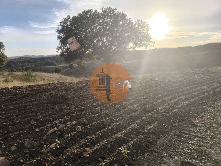 Plot for Sale in Azinhal, Castro Marim, Portugal 3