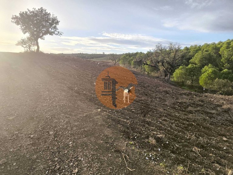 Plot for Sale in Azinhal, Castro Marim, Portugal 12