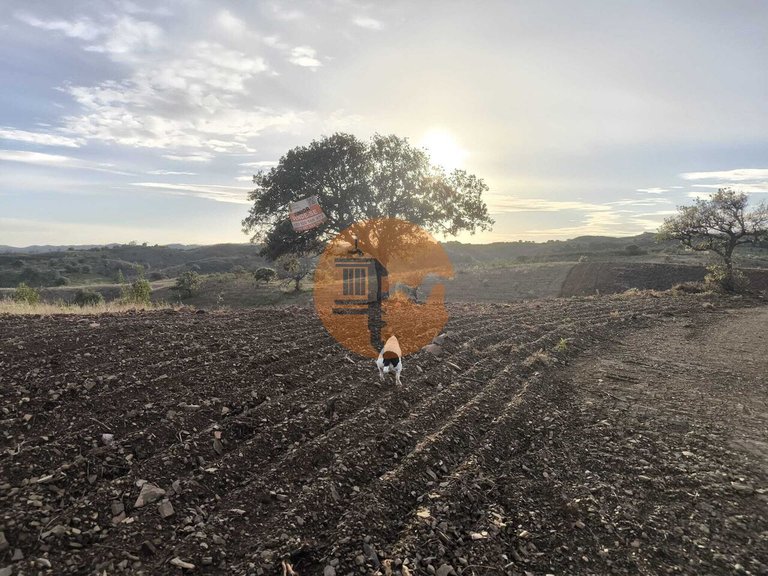 Plot for Sale in Azinhal, Castro Marim, Portugal 32