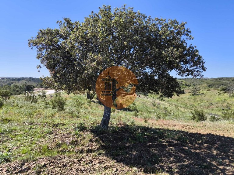 Plot for Sale in Azinhal, Castro Marim, Portugal 5