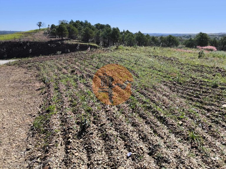 Plot for Sale in Azinhal, Castro Marim, Portugal 7