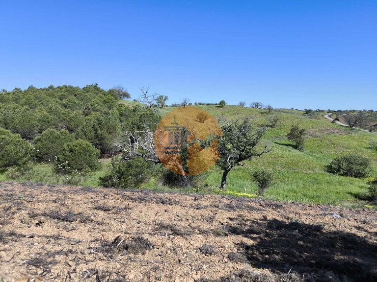 Plot for Sale in Azinhal, Castro Marim, Portugal 33
