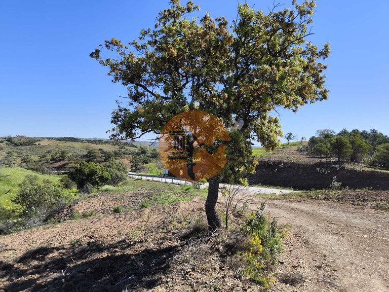 Plot for Sale in Azinhal, Castro Marim, Portugal 34
