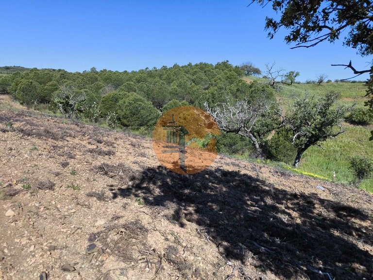 Plot for Sale in Azinhal, Castro Marim, Portugal 38