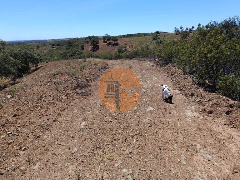 Plot for Sale in Azinhal, Castro Marim, Portugal 3
