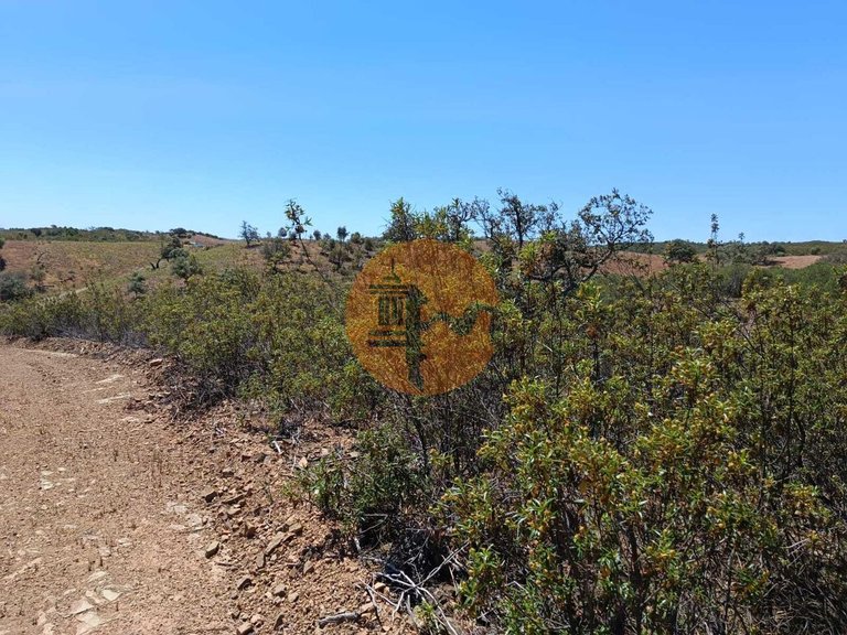 Plot for Sale in Azinhal, Castro Marim, Portugal 4