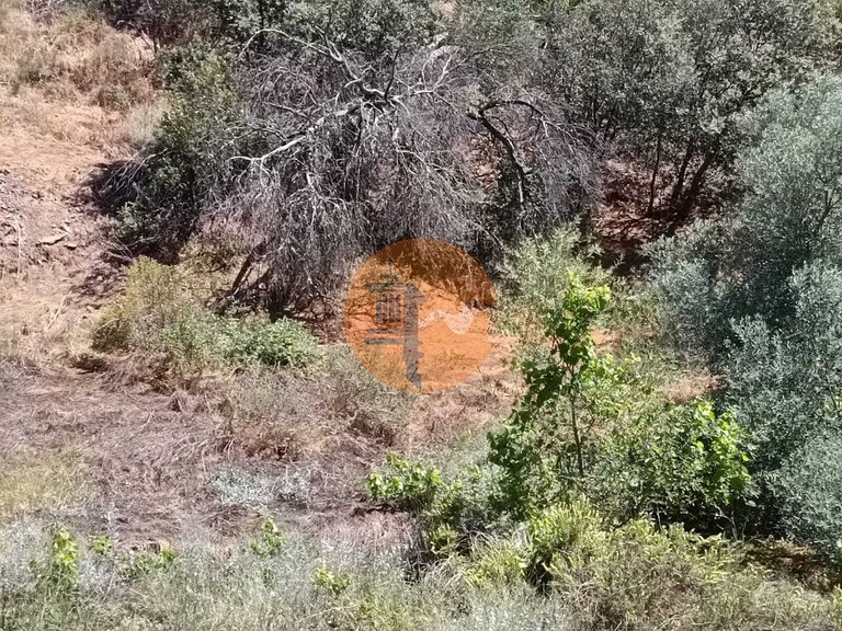 Plot for Sale in Azinhal, Castro Marim, Portugal 6