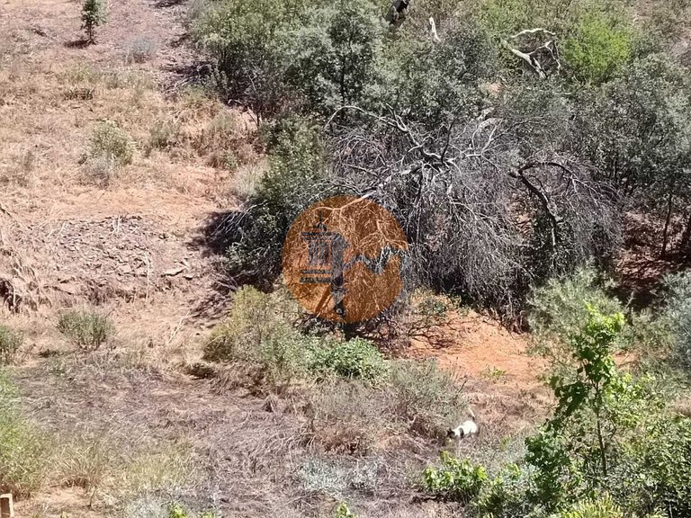 Plot for Sale in Azinhal, Castro Marim, Portugal 8