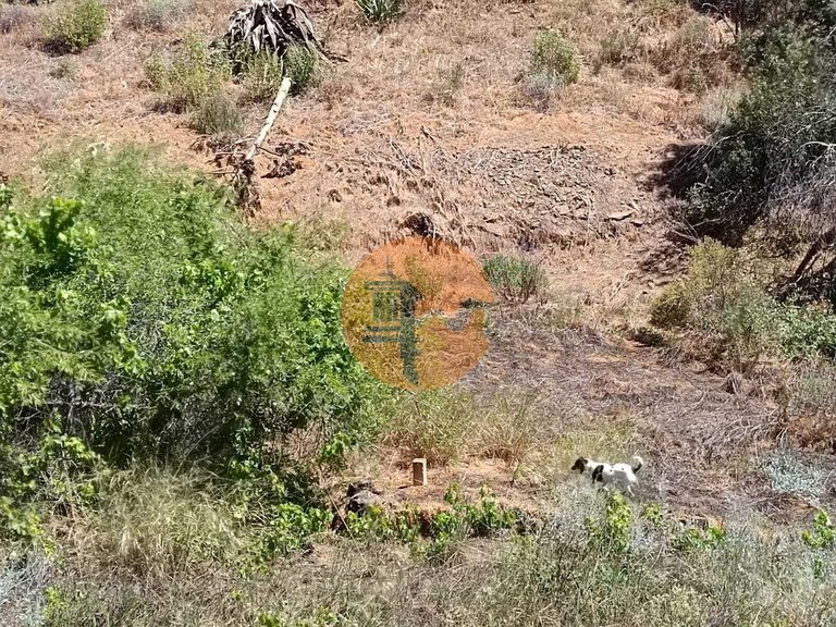 Plot for Sale in Azinhal, Castro Marim, Portugal 1