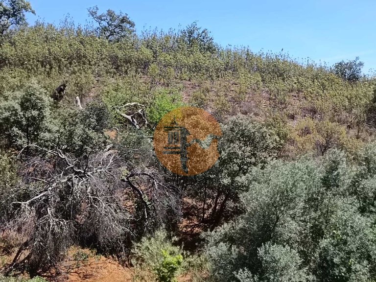 Plot for Sale in Azinhal, Castro Marim, Portugal 9