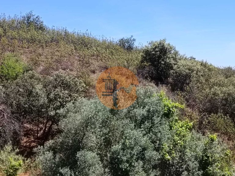 Plot for Sale in Azinhal, Castro Marim, Portugal 10