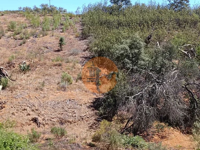 Plot for Sale in Azinhal, Castro Marim, Portugal 12