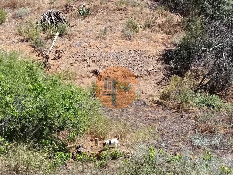 Plot for Sale in Azinhal, Castro Marim, Portugal 14
