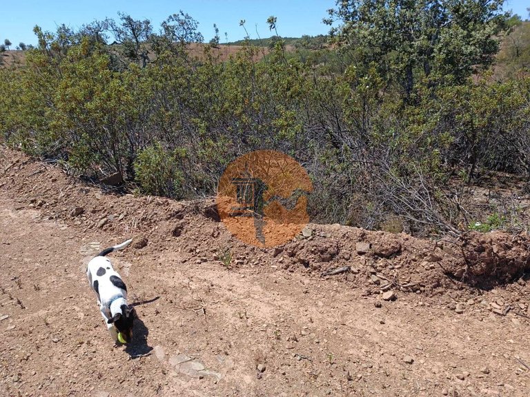 Plot for Sale in Azinhal, Castro Marim, Portugal 15
