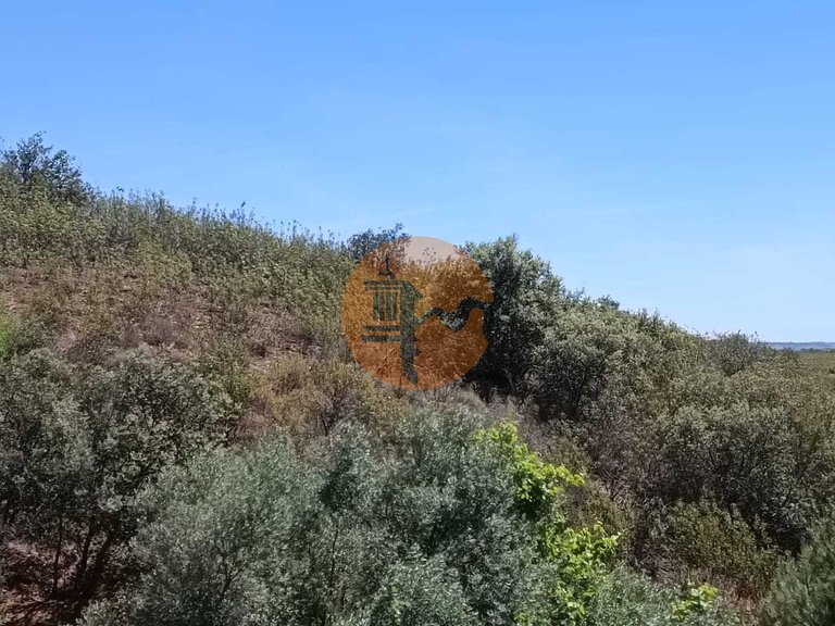 Plot for Sale in Azinhal, Castro Marim, Portugal 17