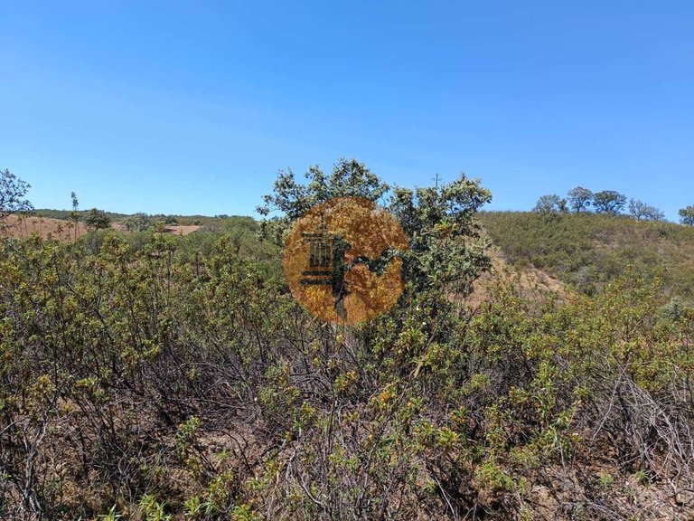 Plot for Sale in Azinhal, Castro Marim, Portugal 18