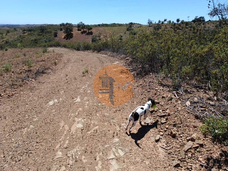 Plot for Sale in Azinhal, Castro Marim, Portugal 19