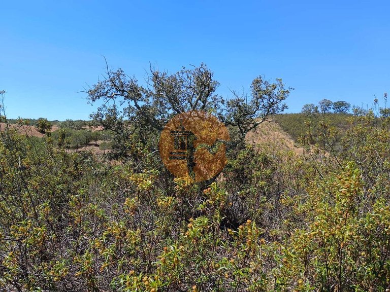 Plot for Sale in Azinhal, Castro Marim, Portugal 21