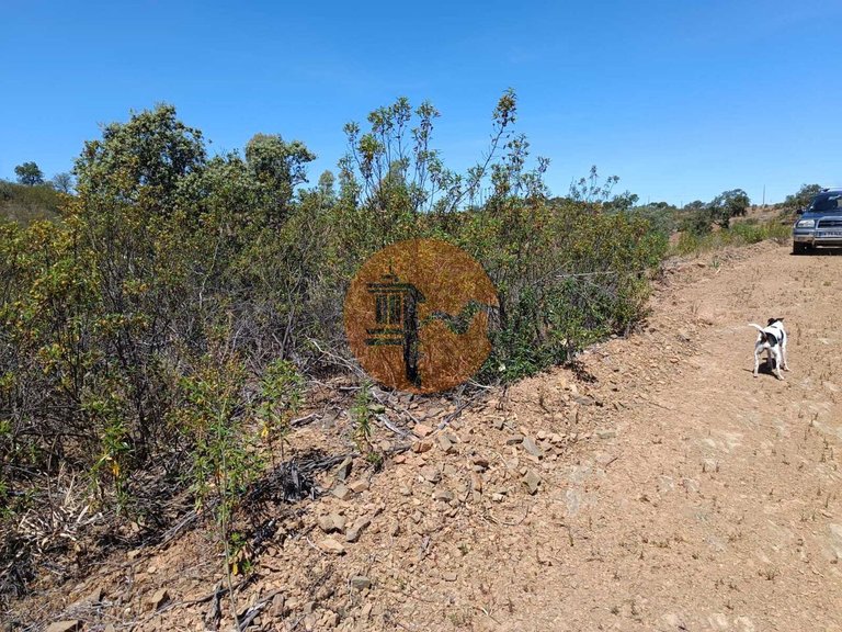 Plot for Sale in Azinhal, Castro Marim, Portugal 25