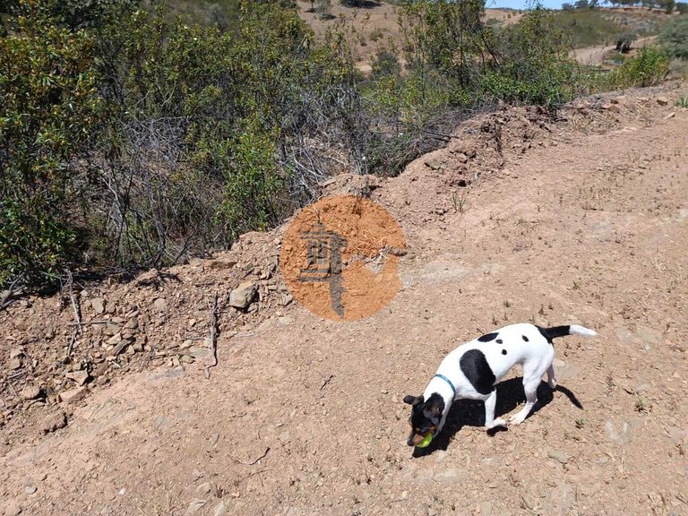 Plot for Sale in Azinhal, Castro Marim, Portugal 30