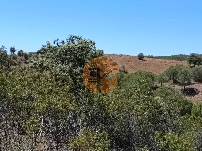 Plot for Sale in Azinhal, Castro Marim, Portugal 31